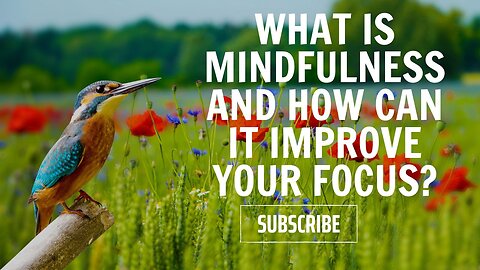 What is Mindfulness and How Can It Improve Your Focus? #meditation #focus #healthylifestyle