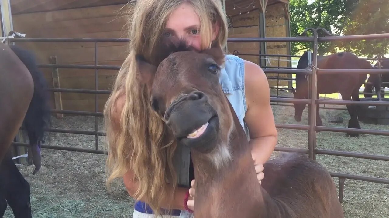 Get Ready to Laugh! _ FUNNIEST Pets Of The Week