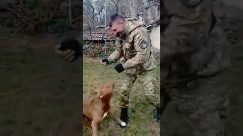 Ukrainian Soldier and their four-legged helpers! 🇺🇦❤❤❤