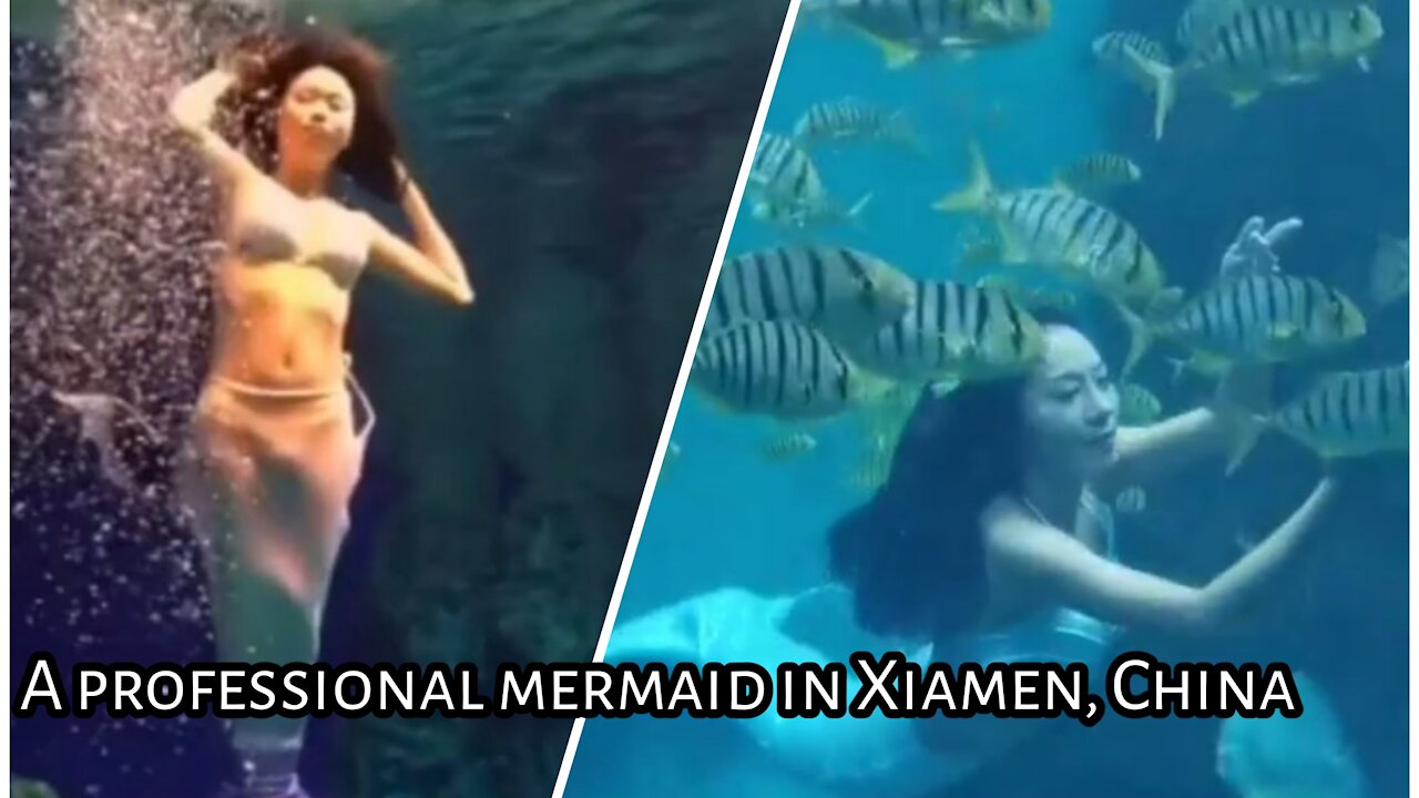 A professional mermaid in Xiamen, China