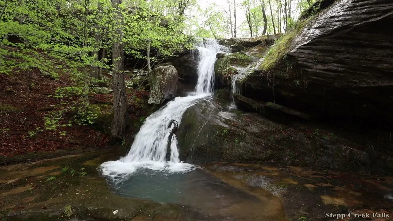 Stepp Creek Falls