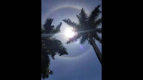 Rare Miami Sun Halo 5 3 2020