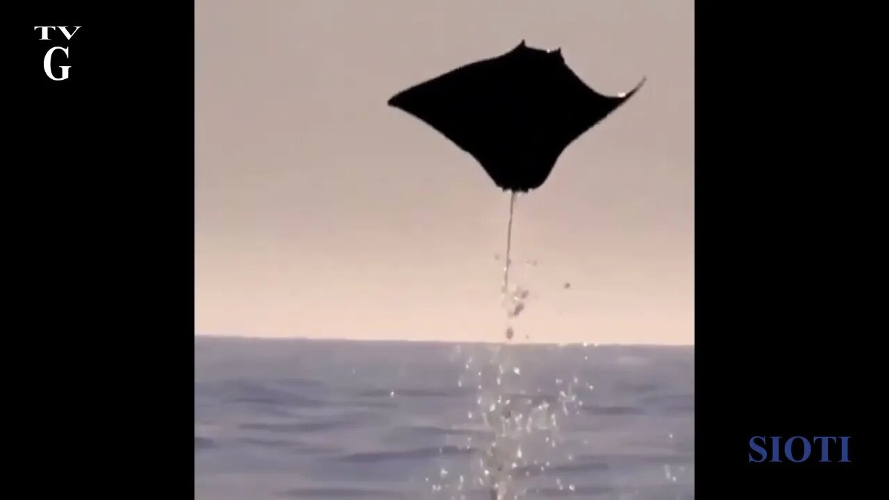 26 September