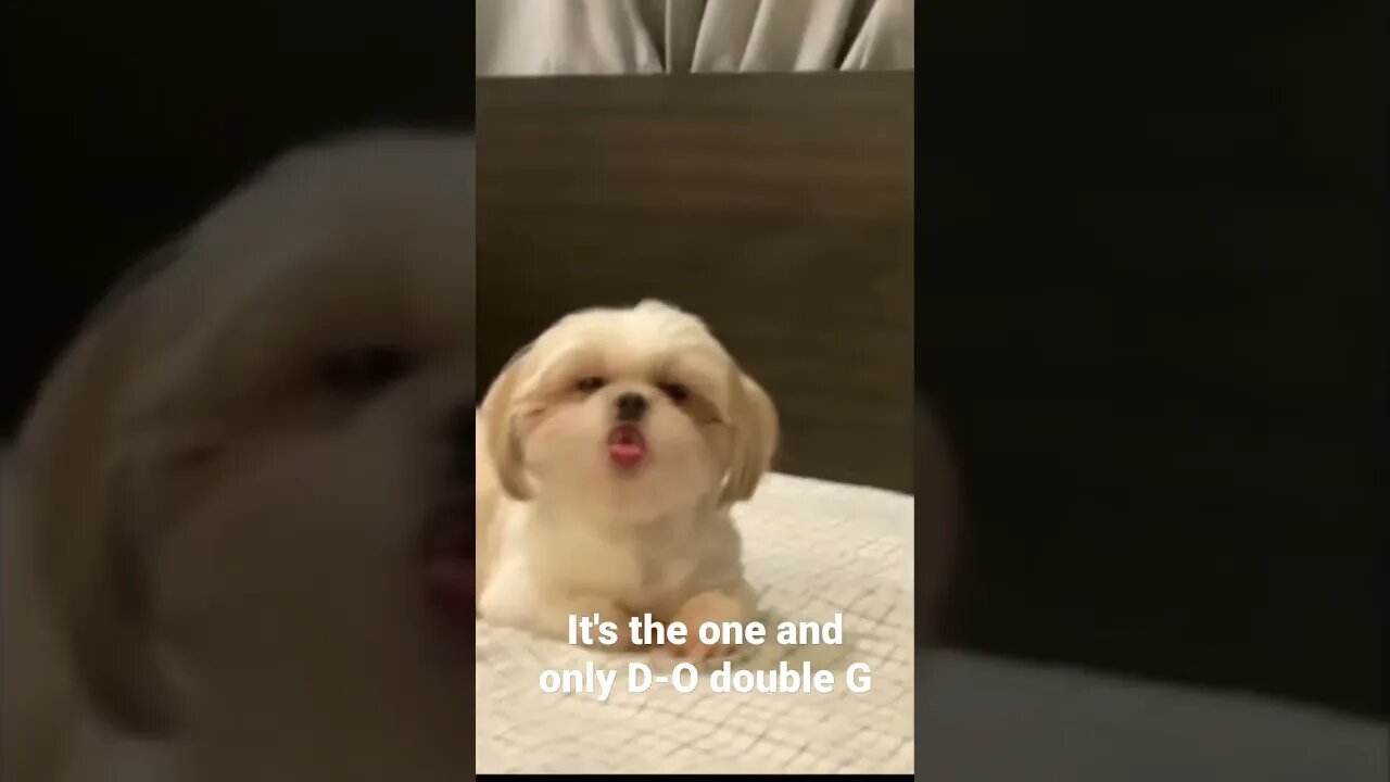 It's the one and only D-O double G #shorts