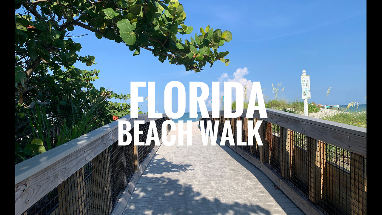 Florida Bliss Beach Walk (2024)