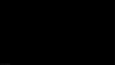 Call of Duty: Rebirth resurgence DUB