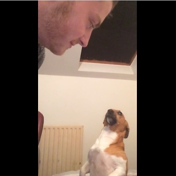 Jealous dog wants all the kisses for himself
