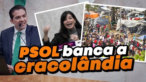 Acabando com o argumento da esquerda e combatendo a Cr4colând1a em SP