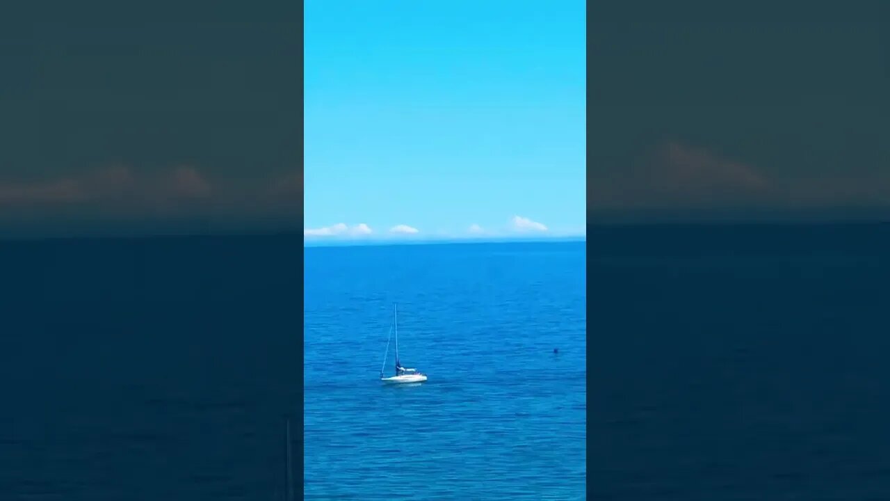 Small Sailing Yacht #shorts
