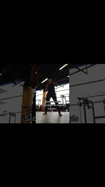 Sabes que Estás Madurando en el Gimnasio Cuando... 🐓