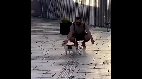 Rejected