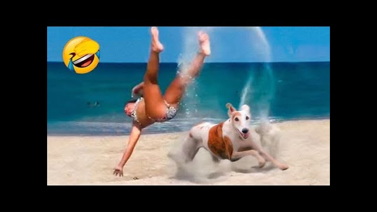 Funny Dog Fails🐶 - Funniest Cats And Dogs 2023