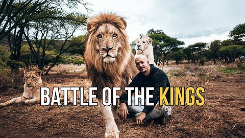 Battle of the Kings