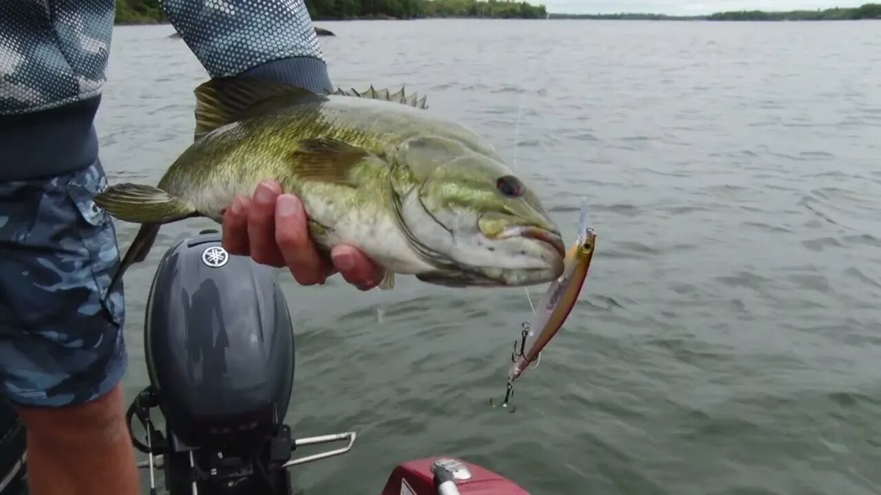 Late Summer Smallies on Rainy Lake