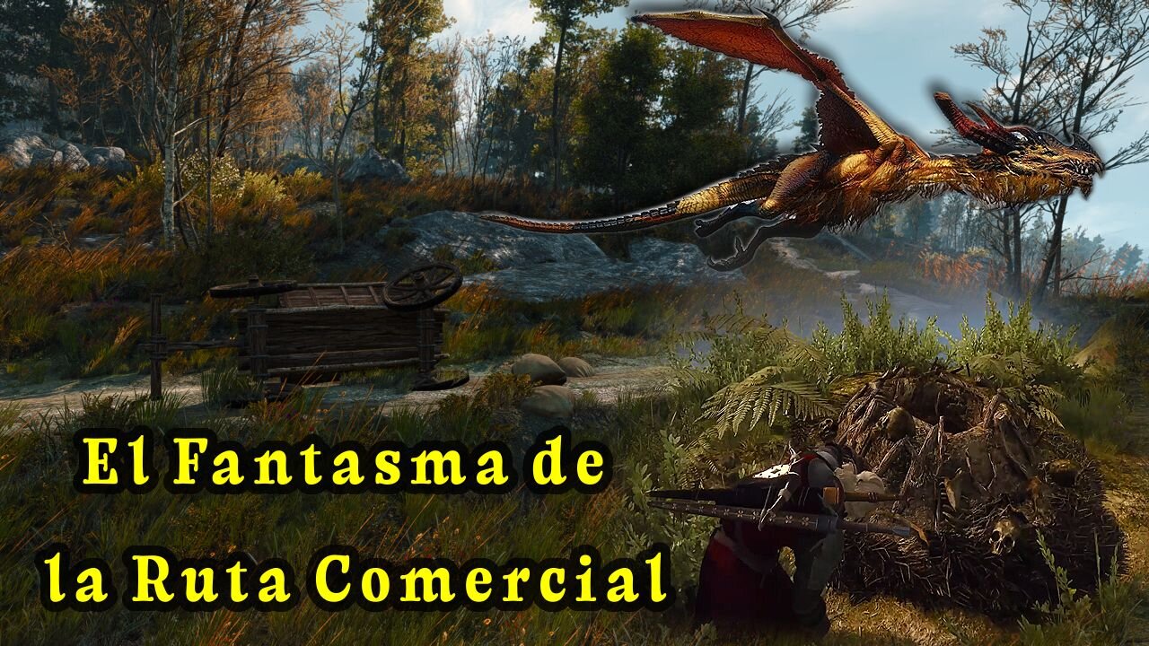 The Witcher 3 Wild Hunt ~ Misión Alterna # 13 ~ El Fantasma de la Ruta Comercial