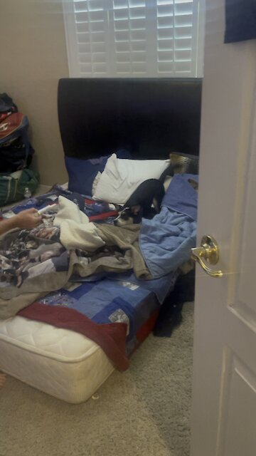 Brady getting his meds