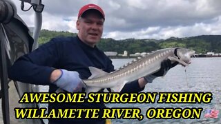 AWESOME STURGEON FISHING WILLAMETTE RIVER, OREGON 🇺🇲