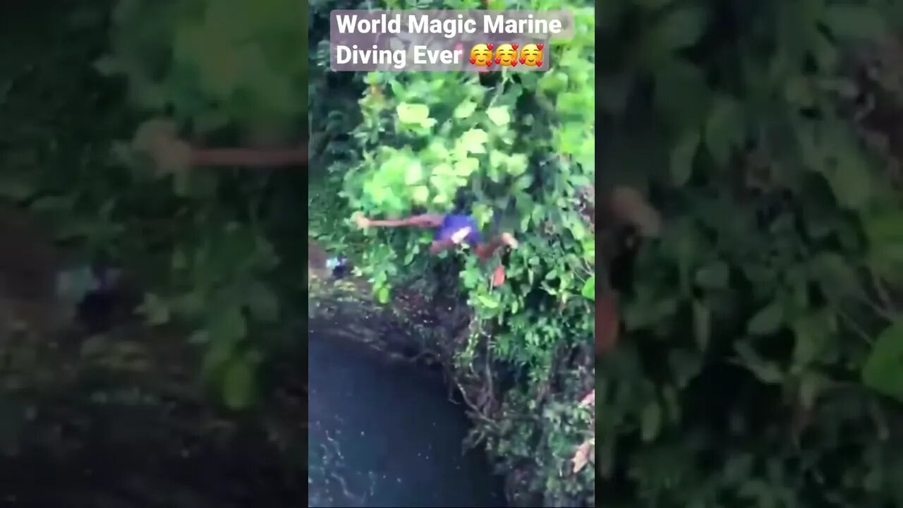 World Magic ‘Water ‘ Diving Ever 🥰🥰🥰