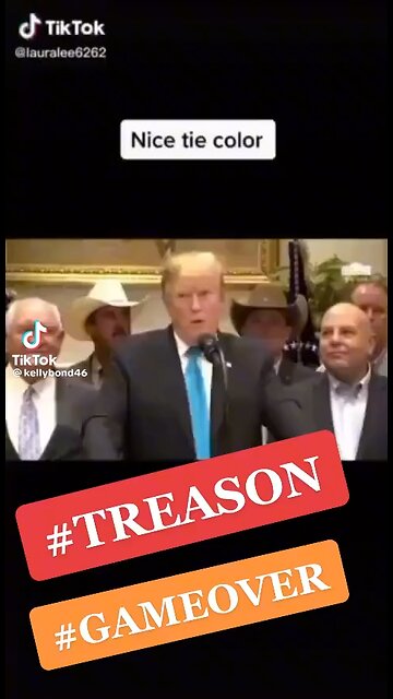 TREASON GAME OVER