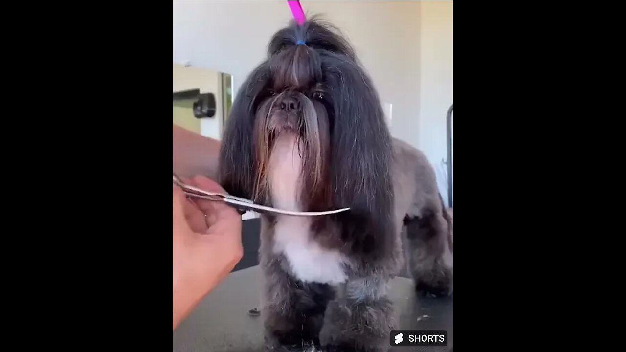 Prontinho p_ sujar de novo
