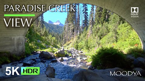 Nature Paradise - Spiritual Flow To Freedom - Mountain Creek in HDR