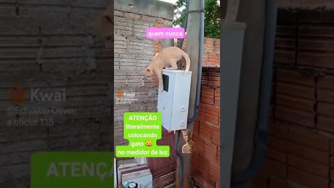 agora a nasa vem #short