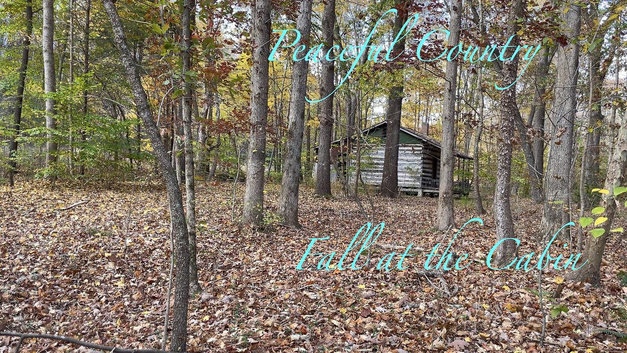 Fall at the Cabin