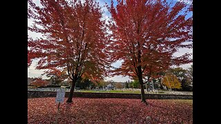 Holy Spirit Reveals To Me A Prophetic Picture While I Hike in The Beautiful Fall Colors of Pennsylvania On This Shabbat