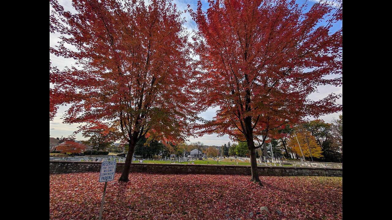 Holy Spirit Reveals To Me A Prophetic Picture While I Hike in The Beautiful Fall Colors of Pennsylvania On This Shabbat