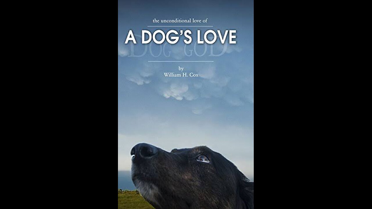 unconditional Love between Cow and Dog _ animal love