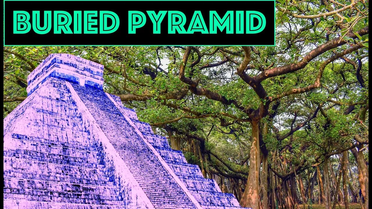 BURIED PYRAMID? Giant Banyan Grove, FL OWF#0017