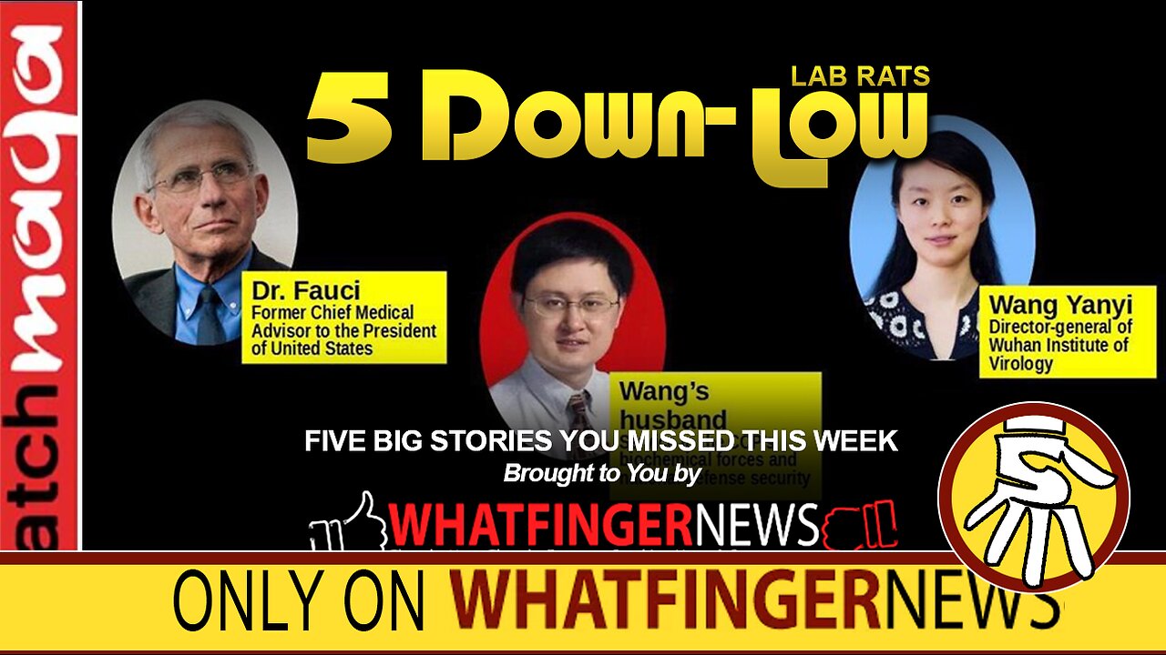 LAB RATS: 5 Down Low from Whatfinger News