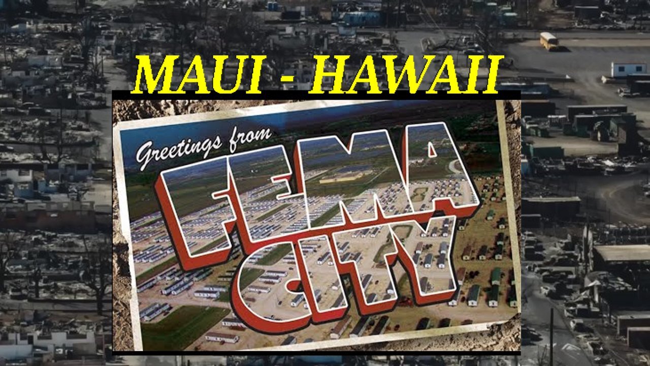 Hotel Maui-fornia! You Can Check Out Anytime You Want, But You Can Never Leave!