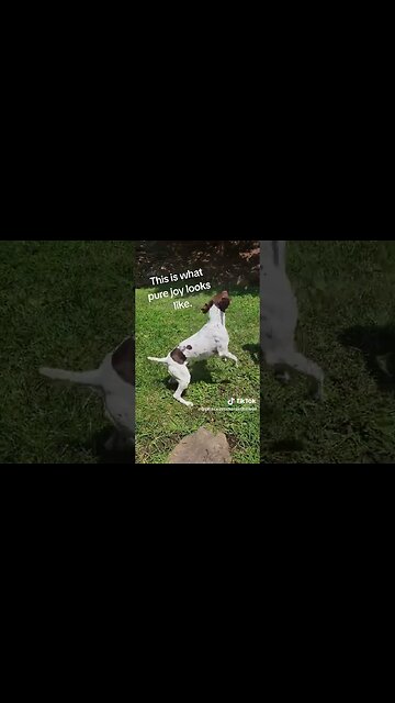 Pure Joy you are welcome