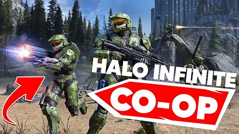 Halo Infinite Co-Op Flight Details - Nerd Cave