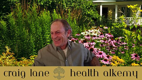 Craig Lane Health Alkemy - Q and A Hot Tips - Retinol, Synthetic Vitamins, Parasites!