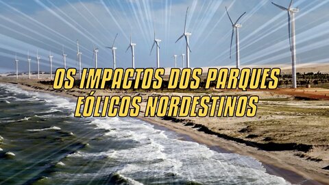 Os Impactos Dos Parque Eólicos Nordestinos