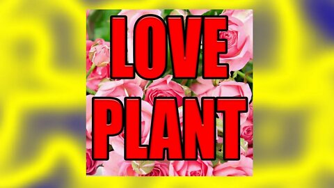 Hip Hop, Trap, R&B Type Beat - Love Plant