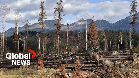 Jasper wildfire: Parks Canada employees rushing to clean up campgrounds before bookings open