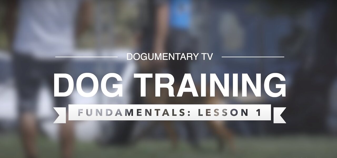 DOG TRAINING FUNDAMENTALS: LESSON 1