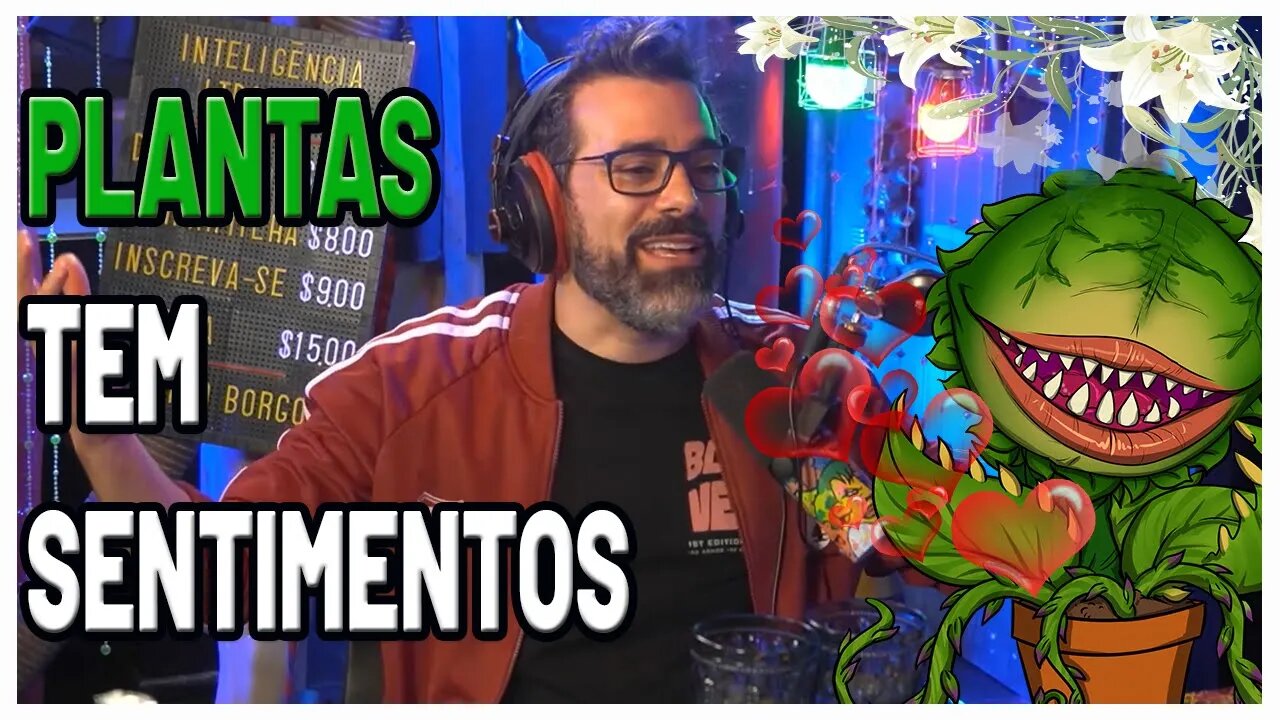 Plantas tem Sentimentos? - Nerds também cuidam de Plantas? Erico Borgo Cuida de Uma Planta a 14 Anos