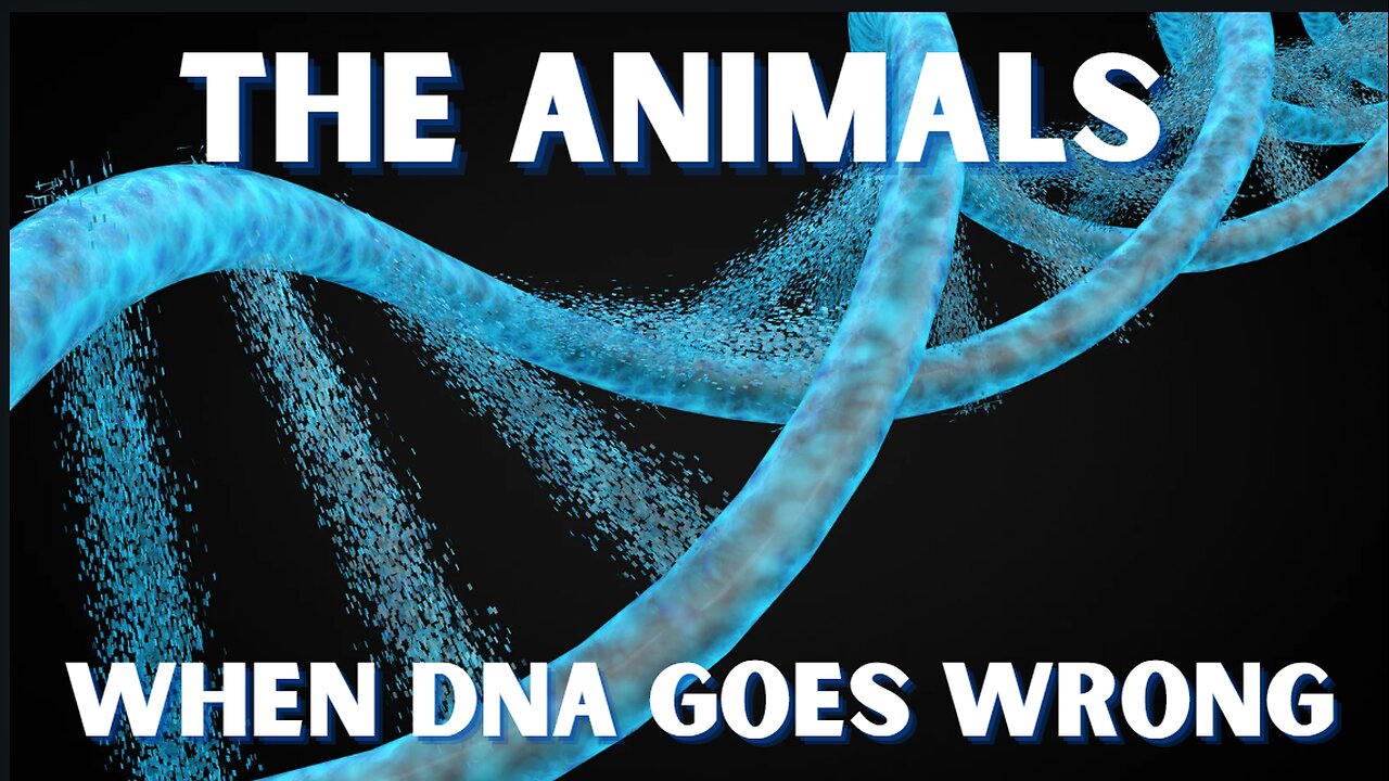 THE ANIMALS: WHEN DNA GOES WRONG