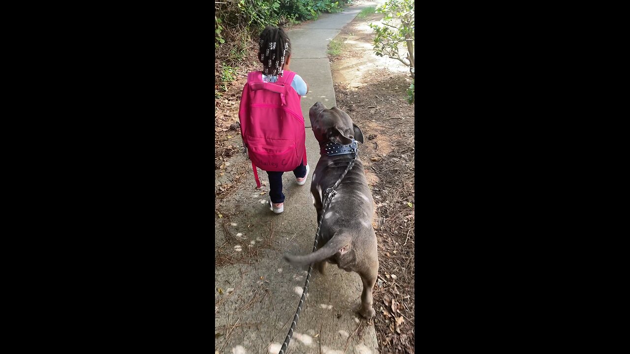 Dog makes sure sister is ok after getting home from school