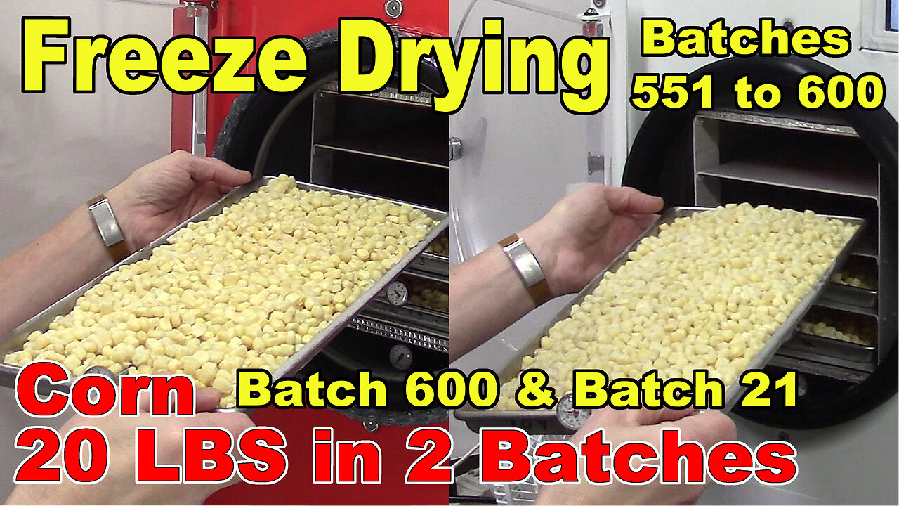 Freeze Drying - The Next 50 Batches - Another Double Batch - 20 LBS of Corn - Batches 600 & 21