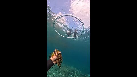 "The Underwater Magically Rings Official Amazing Captured Scenes Follow For More Videos Have Virel..