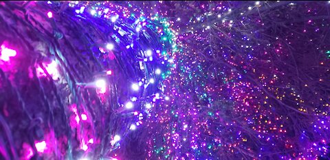 Arbre de Noel 28 nov. 2018