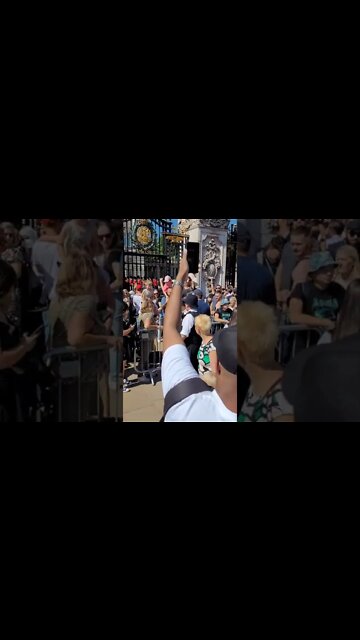 Stand down we don't need the bomb squad #buckinghampalace