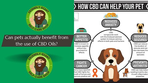 Can our pets benefit from the use of CBD?