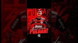 "ANUNCIADO". ERICK PULGAR NOVO REFORÇO DO FLAMENGO!!!