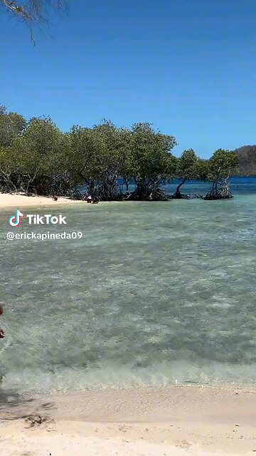 Sensual Rhythms: The Art of Filipina Sexy Dancing